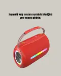 20W Güçlü Ses Çift Sürücülü RGB LED Işıklı Bluetooth 5.3 Hoparlör-4