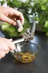 Hazneli Paslanmaz Metal Sarımsak ve Zencefil Ezici Doğrayıcı-2