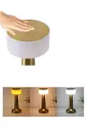 Şarjlı Gold Mantar Masa Lambası Dimmer Ayarlı Kablosuz LED Lamba-6