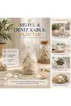 Midye ve Deniz Kabuk Vazo Taşları-3