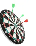 17 İnç Profesyonel Dart Tahtası Dayanıklı Yapı ve 4 Metal Dart Oku-2