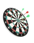 17 İnç Profesyonel Dart Tahtası Dayanıklı Yapı ve 4 Metal Dart Oku-3