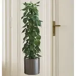 Saksılı Bitki Tasarımlı Yapışkanlı Sticker Resim 90*30 cm-2