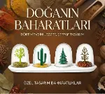 4 Mevsim Temalı Tasarım Baharatlık Seti - Dekoratif Ağaç ve Kaktüs Figürlü Standlı Tuzluk Biberlik-3