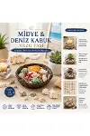 Yuvarlak Ahşap Sepet 54'lü Renkli Midye & Deniz Kabukları - Vazo Taşı Seti-2
