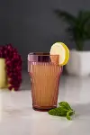 Akrilik Mürdüm Tekli Uzun Bardak & Su Meşrubat Bardağı 400 ml ( Cam Değildir )-1