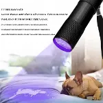 Sahte Para Işığı Ultraviole Wt-302-1