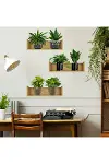 Raflı Bitki Tasarımlı Yapışkanlı Sticker 20*30 cm 3lü Set-3