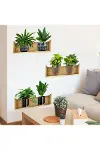 Raflı Bitki Tasarımlı Yapışkanlı Sticker 20*30 cm 3lü Set-4