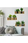 Raflı Bitki Tasarımlı Yapışkanlı Sticker 20*30 cm 3lü Set-1