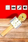 Şarjlı ve Uzun Pil Ömürlü Karaoke Mikrofon USB Bellek Destekli, Profesyonel Ses-4