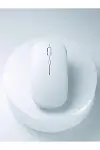 PG-908 Mouse Beyaz-1
