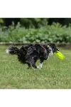 Hem Eğitici Ve Hem Eğlenceli Yuvarlak Hafif Ağırlıklı Köpek Frizbi Oyuncağı-2