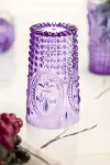 Akrilik Mor Tekli Uzun Bardak & Su Meşrubat Bardağı 750 ml ( Büyük Boy & Cam Değildir )-3