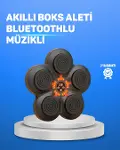Müzikli Boks Duvar Paneli Akıllı Işık Sistemli Refleks ve Kondisyon Aleti-1