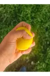 El Bilek Güçlendirme Topu-4