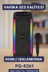 Taşınabilir Şarjlı Hoparlör USB, SD Kart, AUX Girişli-2