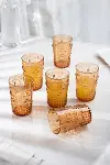 Akrilik Bal Tekli Kısa Bardak & Su Meşrubat Kahve Yanı Bardağı 400 ml ( Cam Değildir )-3