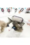 Su Hazneli Kedi ve Köpek Tüyü Toplamama Fırçası Su Hazneli Pet Tarağı-3