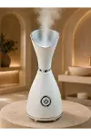 Yüz Buhar Cihazı 80 ML Su Hazneli Nano İyonik-2