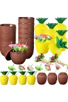 Ananas Hindistan Cevizi Tasarımlı Pipetli Bardak Seti (6 Adet)-4