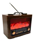 FP821 Speaker-4