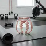 27 Tekerlekli Lenfatik Masaj Roller – Selülit Giderici, Cilt Sıkılaştırıcı, Bacak Kol Sırt Masaj Ale-4