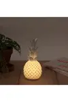 Ananas Şeklinde Desenli Büyük Boy Pilli Masa ve Gece Lambası-3