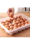 30lu Yumurta Saklama Kabı-1