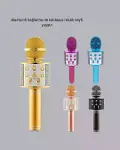 Bluetooth Karaoke Mikrofon – Yüksek Ses Kalitesi, Yankı Efektli, Uzun Ömürlü Pil-2