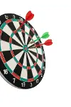 15İNÇ Dart-2