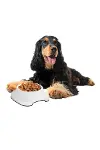 Silikon Kaydırmaz Taban Plastik Kedi ve Köpek Mama ve Su Kabı 2 L-2