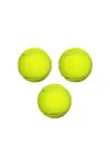 Köpek Oyun Topu Tenis Topu *-1