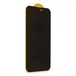Samsung Galaxy S24 Plus Bilvis 3d Hayalet Cam Ekran Koruyucu-2