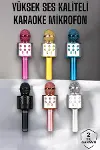 Kablosuz Bluetooth Karaoke Mikrofon USB ve AUX Girişli, Yüksek Ses Kalitesi-1