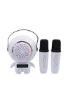 XM-X66 Karaoke Mikrofon-2