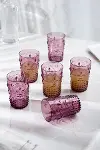 Akrilik Mürdüm 6'lı Kısa Bardak & Su Meşrubat Kahve Yanı Bardağı 400 ml ( Cam Değildir )-1