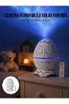Yumurta Görünümlü Masa ve Gece Lambası Renk Değiştirebilen Projektör-1