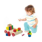 PlayWood Ahşap Renkli Küp Bloklu Araba 312-2