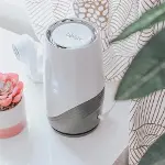 bblüv Püre 3'İn 1 Hava Temizleyici-4