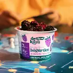 Dokuru Original Böğürtlen Atıştırmalık Meyve Cipsi 15gr-3
