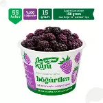 Dokuru Original Böğürtlen Atıştırmalık Meyve Cipsi 15gr-4