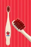 Babyton Bio Diş Fırçası Bubu-3