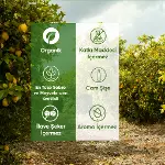 Organuca 3lü Organik Zerdeçallı İçecek Turmeric Shot 60ml-2