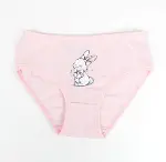 Katamino Tavisan 3lü Kız Slip Set K128668 Asorti-3