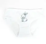 Katamino Tavisan 3lü Kız Slip Set K128668 Asorti-5