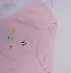 Katamino Beryu Kız 3lü Slip K128627 Asorti-2