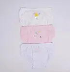Katamino Beryu Kız 3lü Slip K128627 Asorti-3