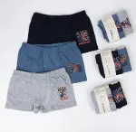 Katamino Winden 2li Erkek Boxer K128638 Asorti-1