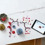 10369 Lego Botanicals - Erik Çiçeği 327 parça +18 yaş-4